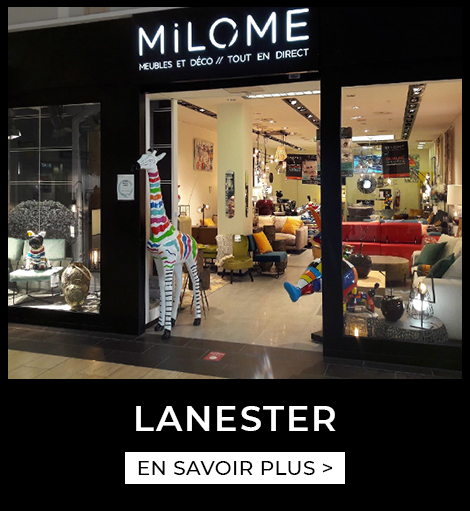 Agence MiLOME LANESTER