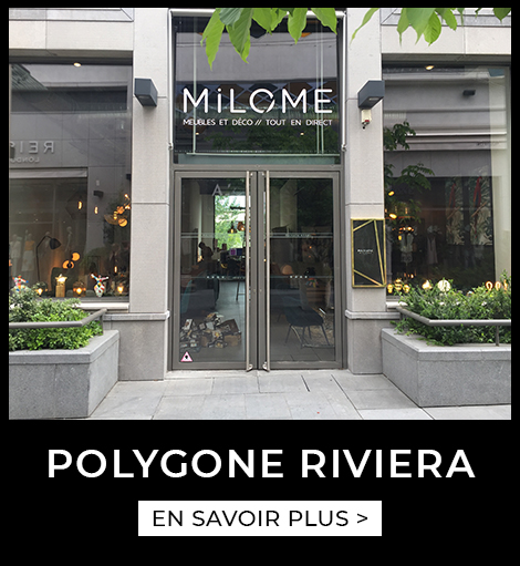 Agence MiLOME Polygone Riviera